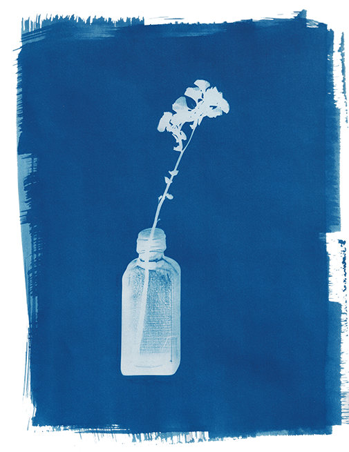 Cyanotype Artwork